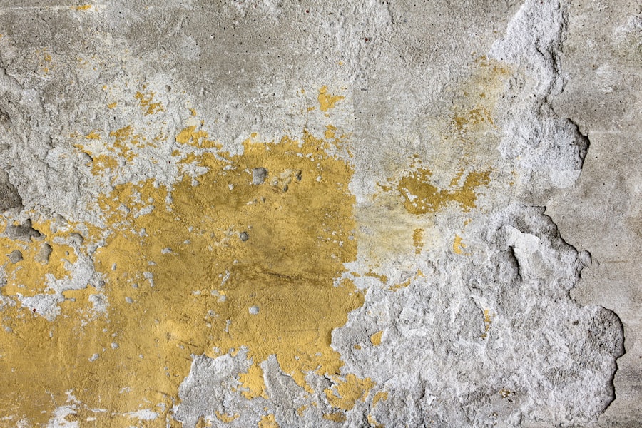 Chaetomium Mold Removal
