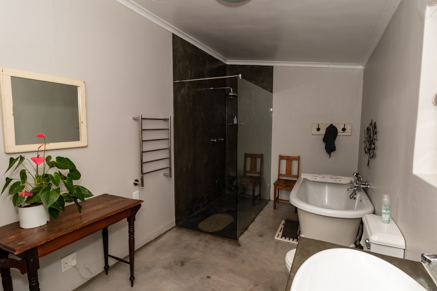 Bathroom Mold Removal