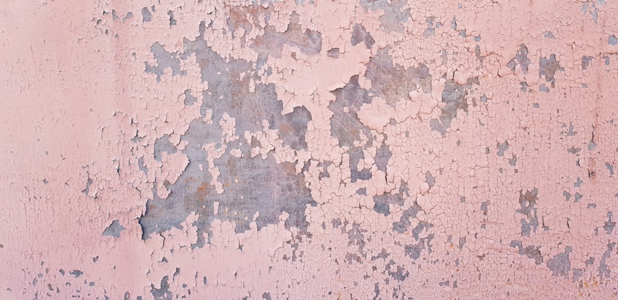 Toxic Mold Removal
