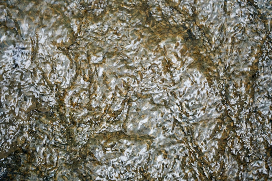 Chaetomium Mold Removal