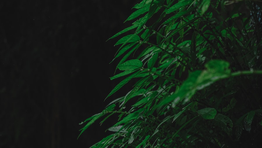 Environmental Consultant