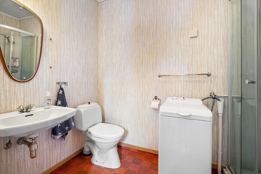 Bathroom Mold Removal