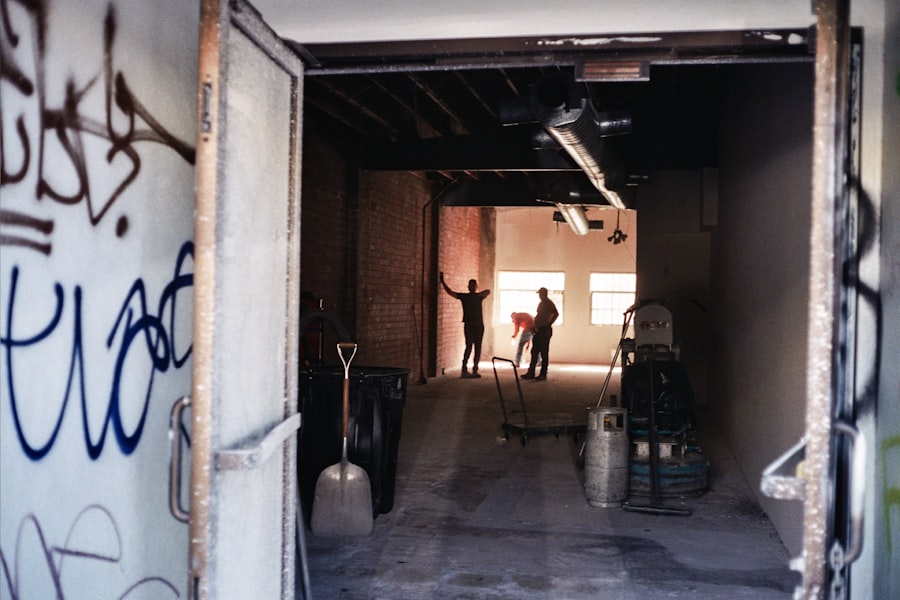 Basement Mold Removal