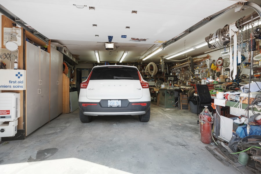 Basement Mold Removal