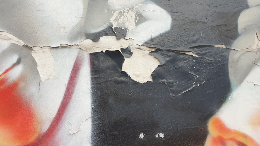 Mold Inspection