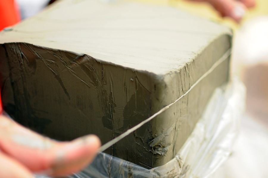 Mold Remediation Service