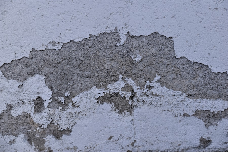 HVAC/Ductwork Mold Removal