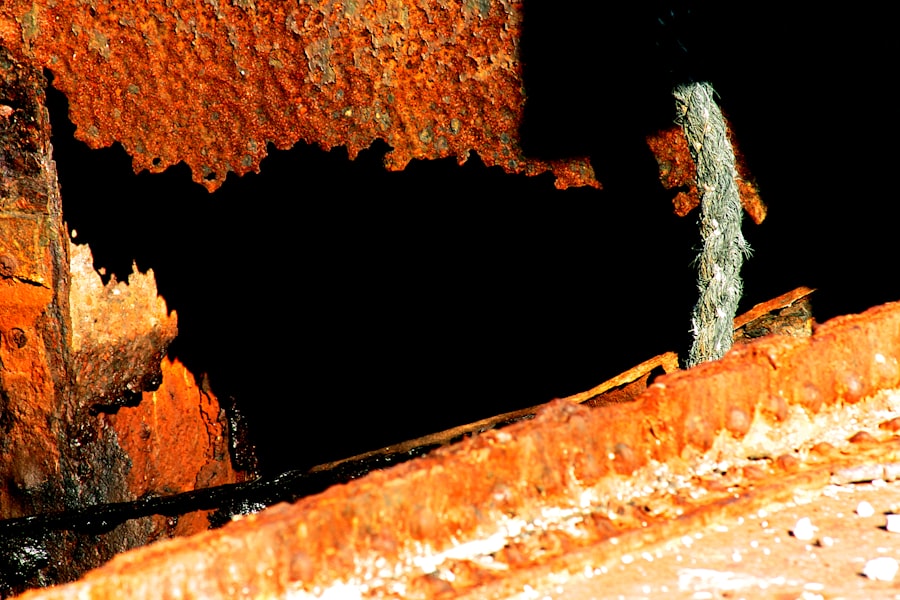 Crawl Space Mold Removal