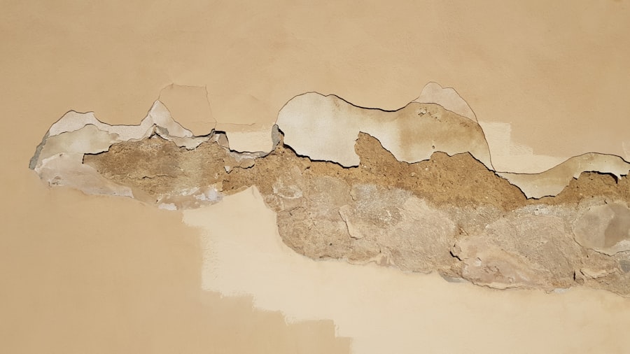 Stachybotrys Chartarum Mold Removal