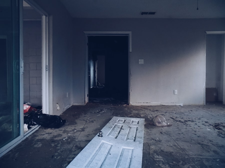 Photo Basement Mold Removal