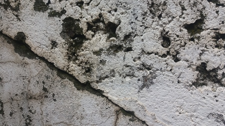 Photo Mold Inspection Portland Oregon