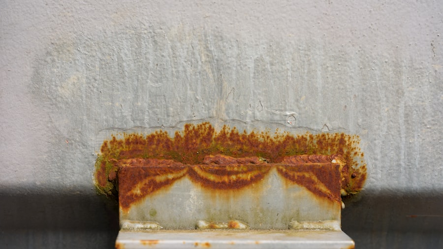 Photo Mold Inspection
