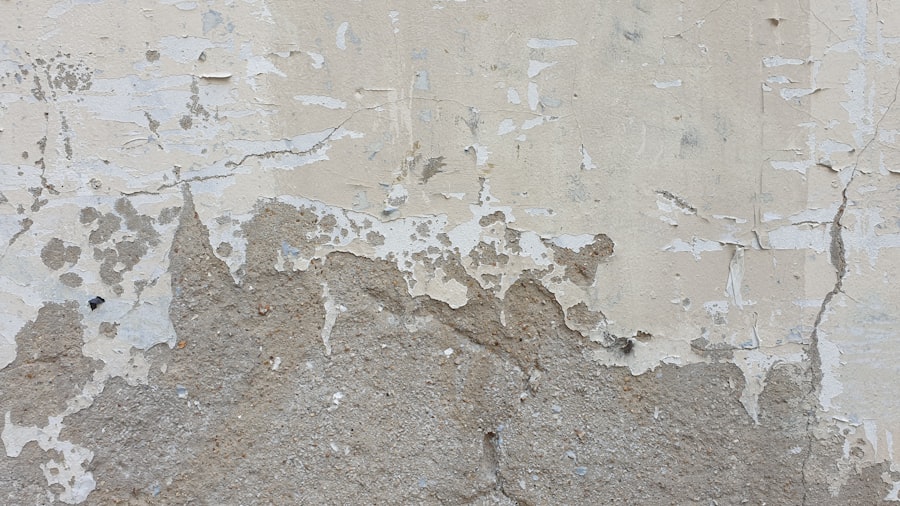 Photo Dry Wall Removal
