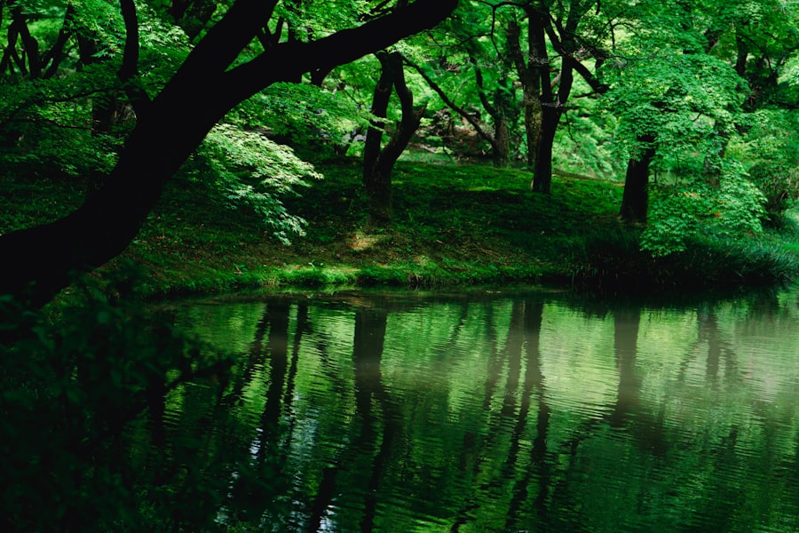 Photo Environmental Consultant Services