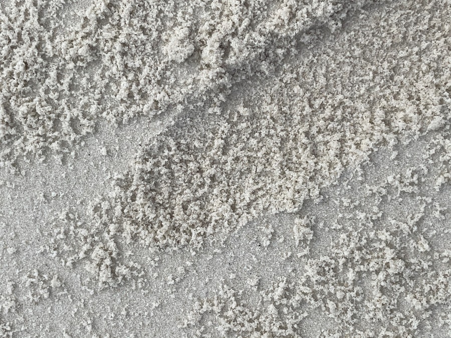 Photo Chaetomium Mold Removal