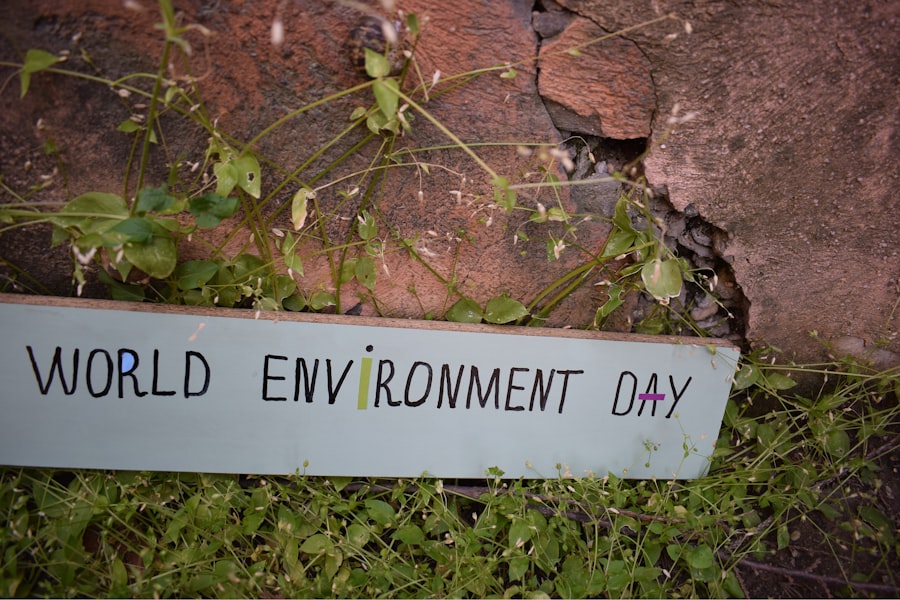 Photo Environmental Consultant