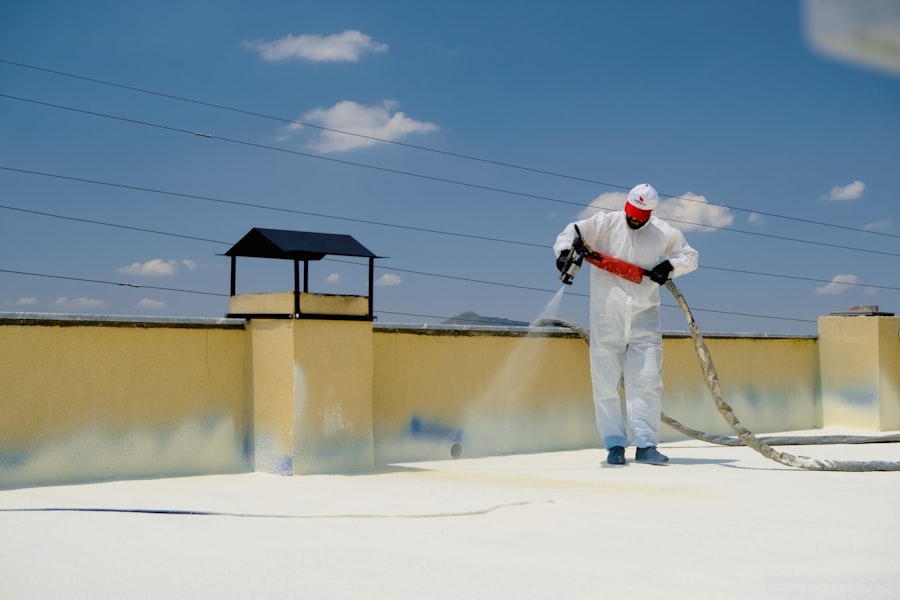 Photo Toxic Mold Removal