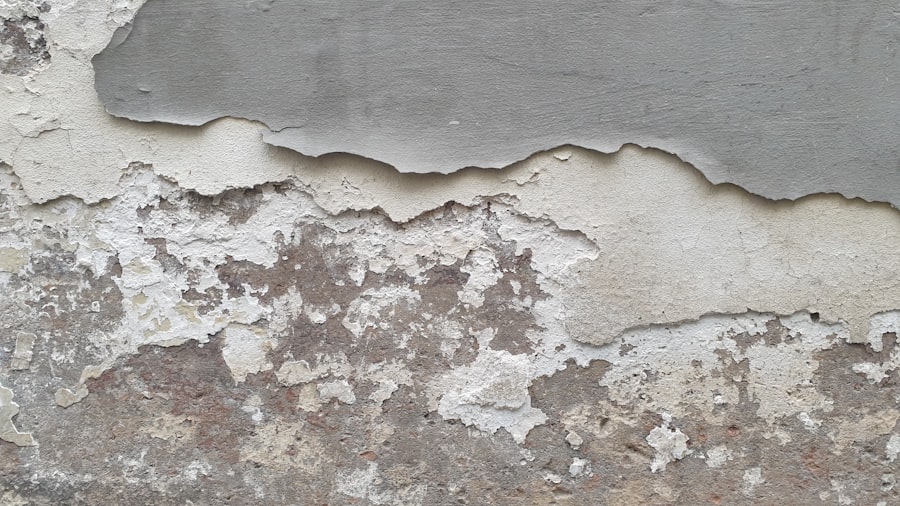 Photo Crawl Space Mold Removal